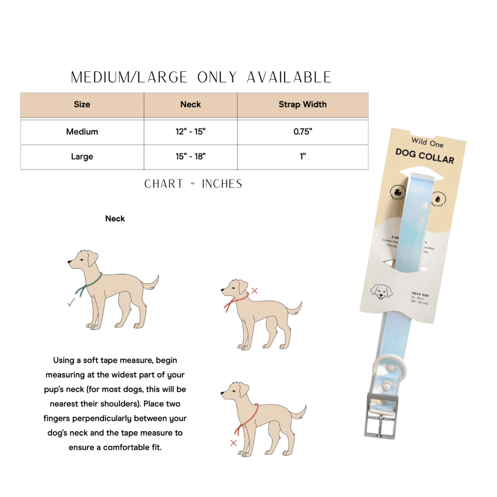 Wild One Holographic Dog Collar - Holographic Lunar Edition Collar Medium/Large Wild one holographic collar, lunar edition dog collar, reflective dog collar, trendy dog accessories, premium dog leash
