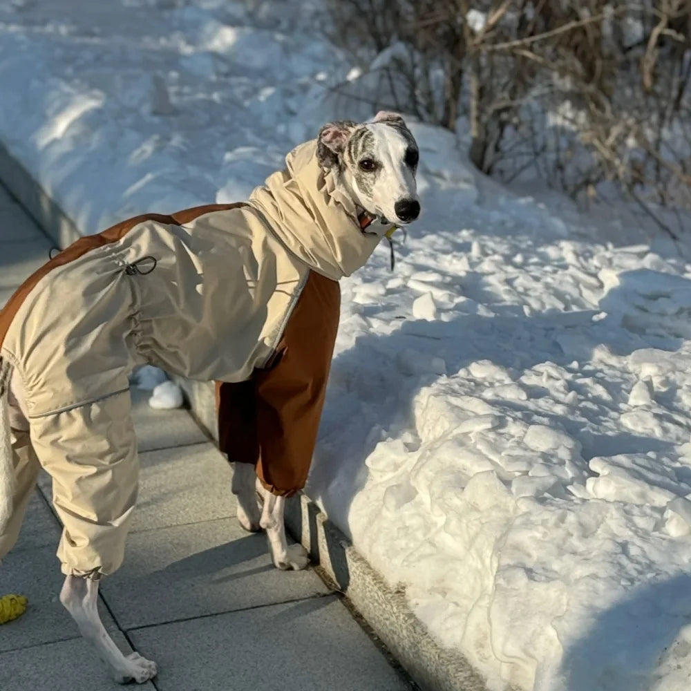 Dog wearing a beige winter jumpsuit fleece lined