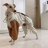 Dog wearing a stylish outfit with beige and brown pants indoors.