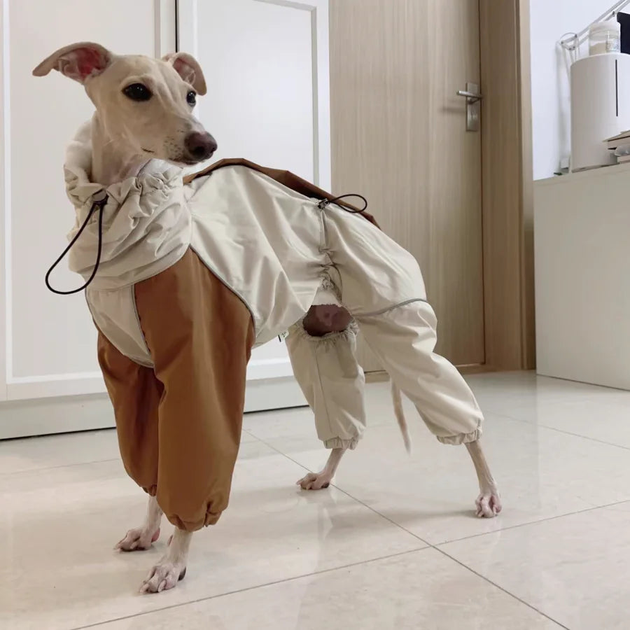 Dog wearing a stylish outfit with beige and brown pants indoors.