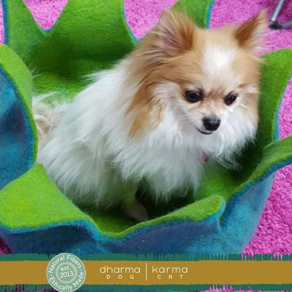 Dharma Dog Karma Cat Pet Bed DDKC Aqua/ Green Petal Wool Pet Basket M | Unique Pet Cave | Wool Flower Pet Cave
