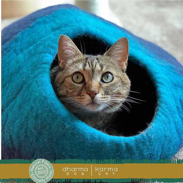 Dharma Dog Karma Cat Pet Bed DDKC Ombre Wool Pet Cave, Navy & Turquoise | Pet cave | Wool Pet Nest
