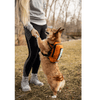 K9 Sport Sack Pet Carrier K9 Sport Walk-On with Harness & Storage: Medium / Buttercup Yellow | Medium Dog Backpack