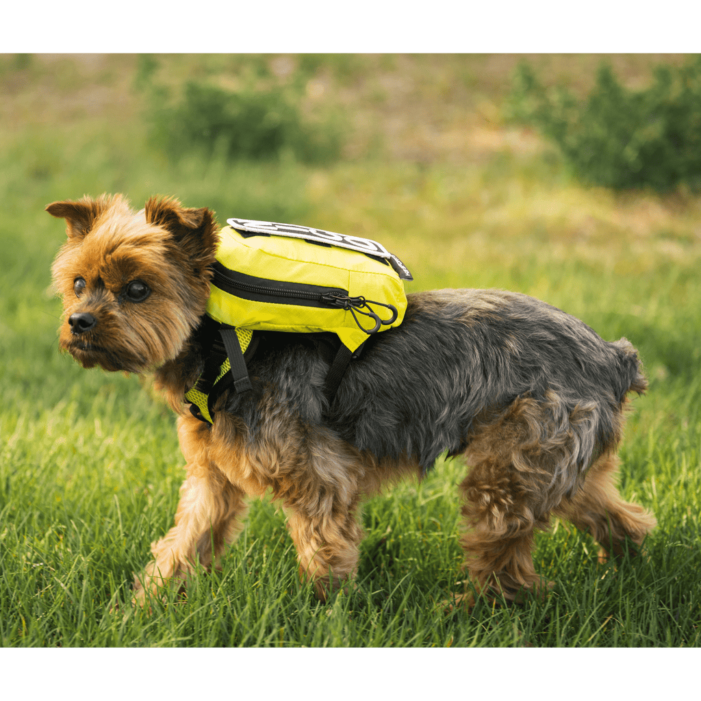 K9 Sport Sack Pet Carrier K9 Sport Walk-On with Harness & Storage: Medium / Buttercup Yellow | Medium Dog Backpack