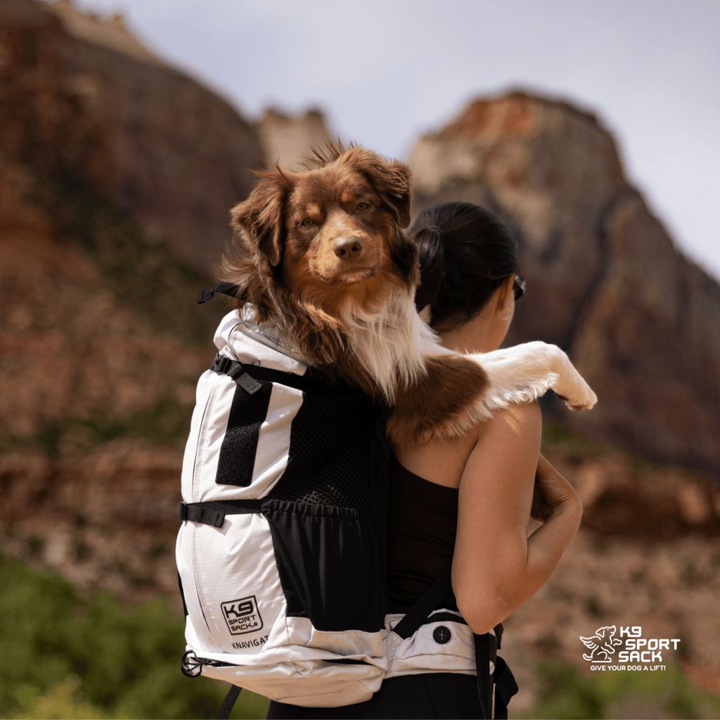 Person carrying a dog in a backpack with mountainous landscape in the background