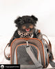 Mr. Peanut's Pet Carrier Mr. Peanut's Gold Series Airline Capable Pet Carrier: Rosa | Pink Pet Carrier Bag