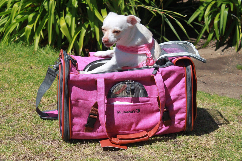 Mr. Peanut's Pet Carrier Mr. Peanut's Gold Series Airline Capable Pet Carrier: Rosa | Pink Pet Carrier Bag