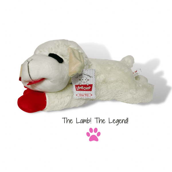 Multipet International Dog Toy Multipet's Officially Licensed Lamb Chop Jumbo White Plush Dog Toy | Lamb Chop The Legend Dog Toy
