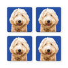 Naked Decor Home Decor Naked Decor Labradoodle / Goldendoodle Coasters (4) | Doodle Print Coasters