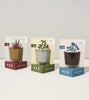 nevsher lior Candle Modern Sprout Glow & Grow Aloe Seeds | Candle & Grow Kit Desert Oasis