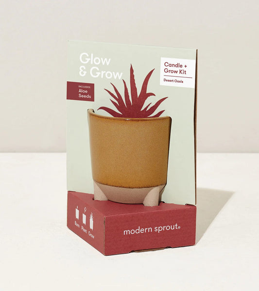 nevsher lior Candle Modern Sprout Glow & Grow Aloe Seeds | Candle & Grow Kit Desert Oasis