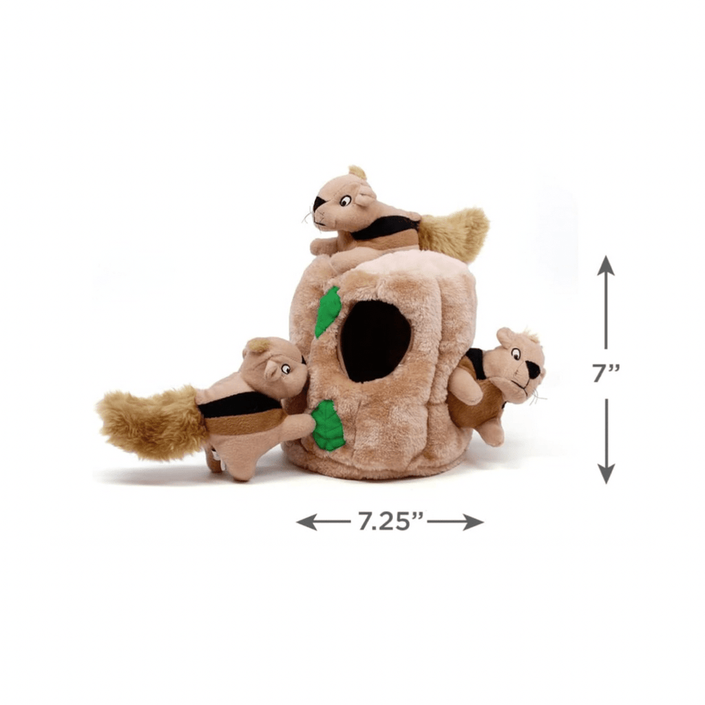 Outward Hound Dog Toy Hide a squirrel Interactive Dog Toy Large Hide a Squirrel | Boredom Busters Dog Toy | Interactive Dog Toy | Squirrel Dog Toy