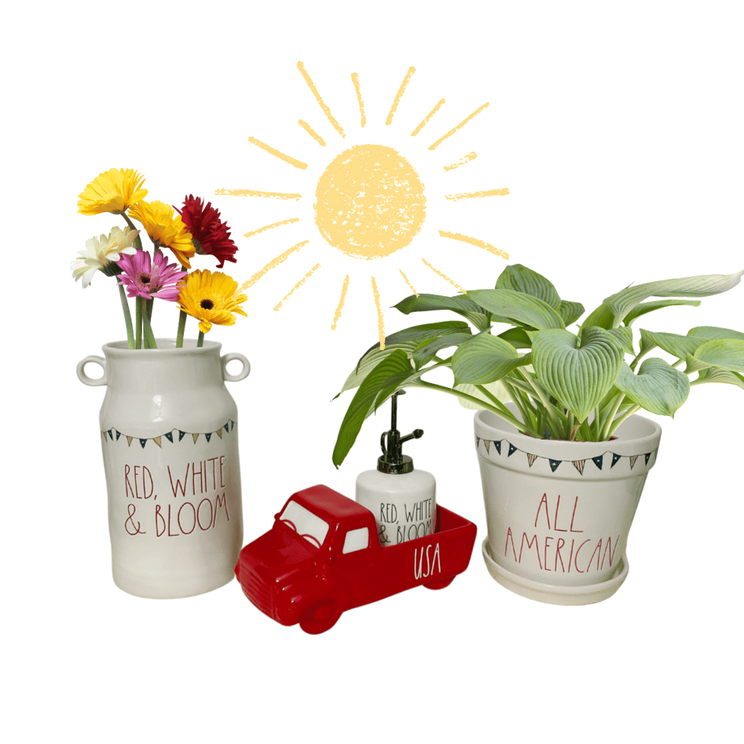 Rae Dunn America Vase and Plant Pot Decor |
