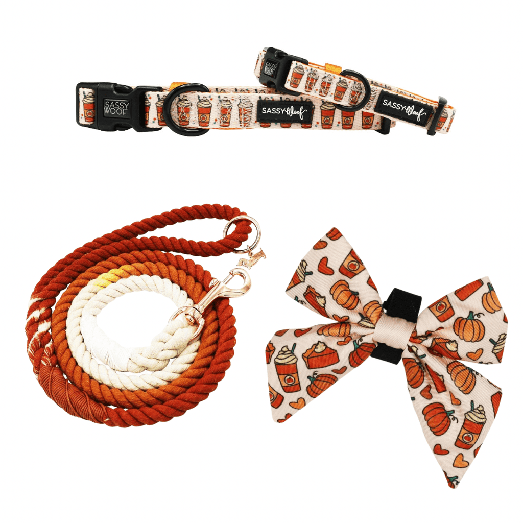 Sassy Woof Dog Accessories SALE Fall Dog Sailor Bow - Pie There! | Fall Dog Bowtie | Pumpkin Spice Dog Bowtie
