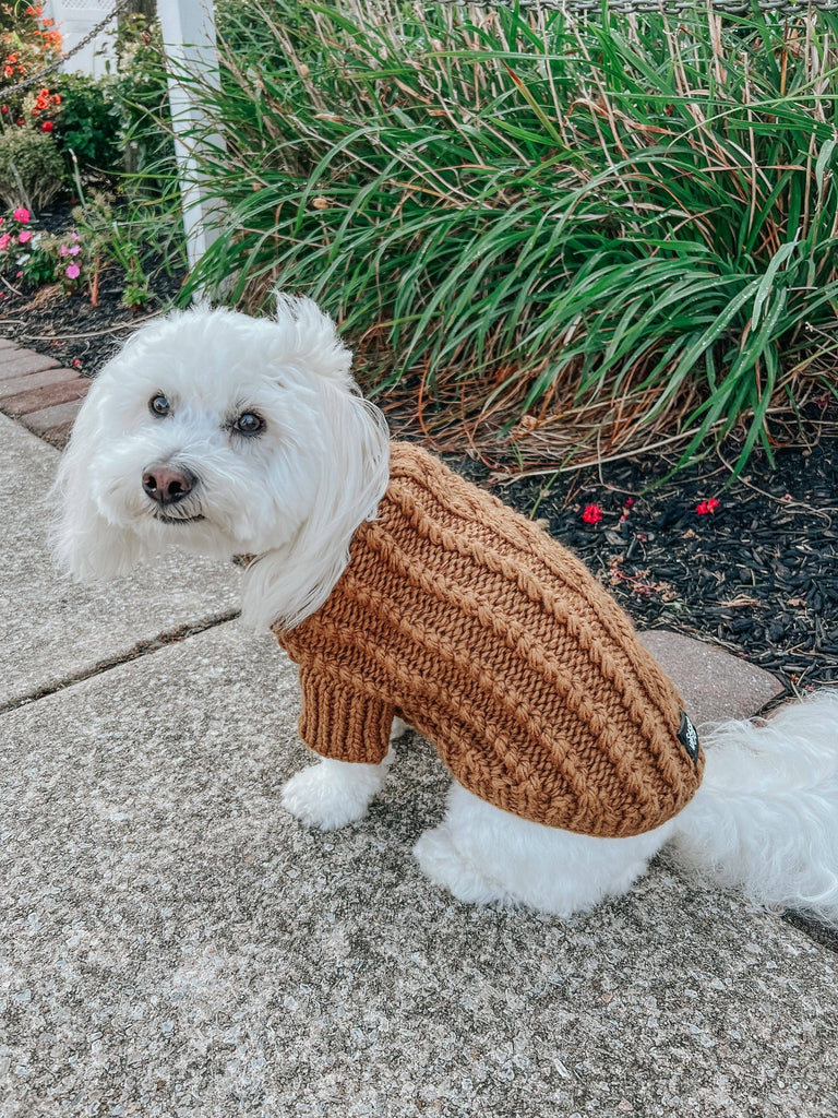 SASSY WOOF Dog Apparel Sassy Woof Dog Cable Knit Sweater Brown | Cozy Pet Sweater | Knit Dog Sweater
