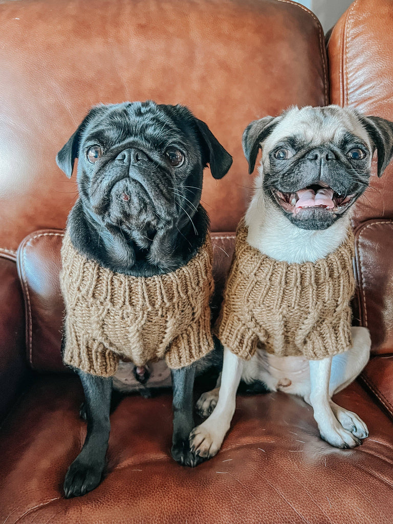 SASSY WOOF Dog Apparel Sassy Woof Dog Cable Knit Sweater Brown | Cozy Pet Sweater | Knit Dog Sweater