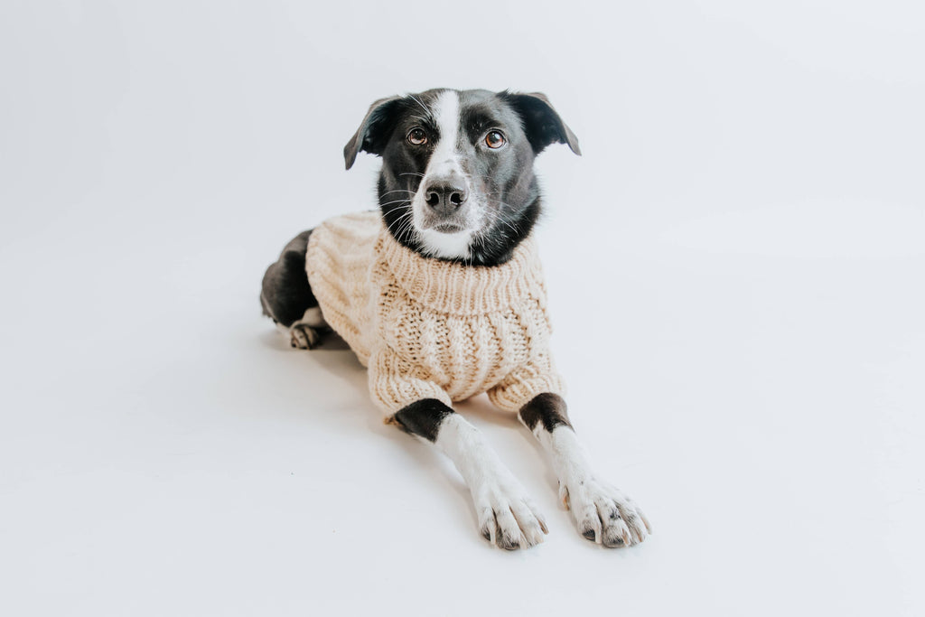 SASSY WOOF Dog Apparel Sassy Woof Dog Cable Knit Sweater Lavender | Cozy Pet Sweater | Knit Dog Sweater