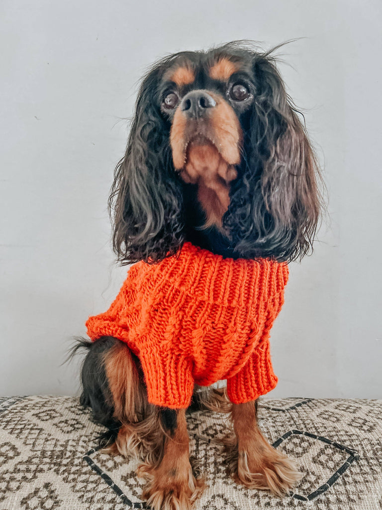 SASSY WOOF Dog Apparel Sassy Woof Dog Cable Knit Sweater Orange | Cozy Pet Sweater | Knit Dog Sweater