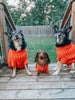 SASSY WOOF Dog Apparel Sassy Woof Dog Cable Knit Sweater Orange | Cozy Pet Sweater | Knit Dog Sweater