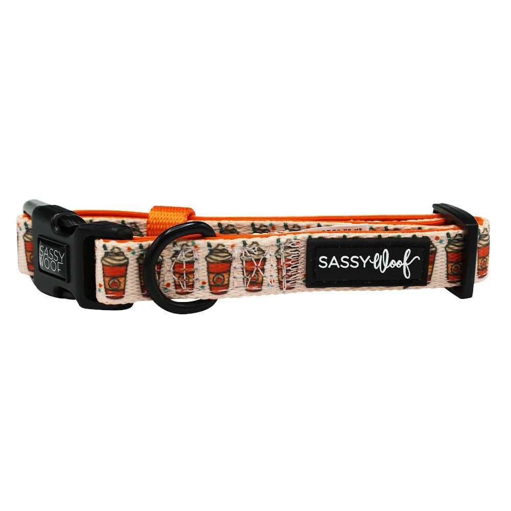 SASSY WOOF Dog Collar SALE Fall Dog Collar - Pie There! | Fall Dog Accessories | Pumpkin Spice Dog Collar