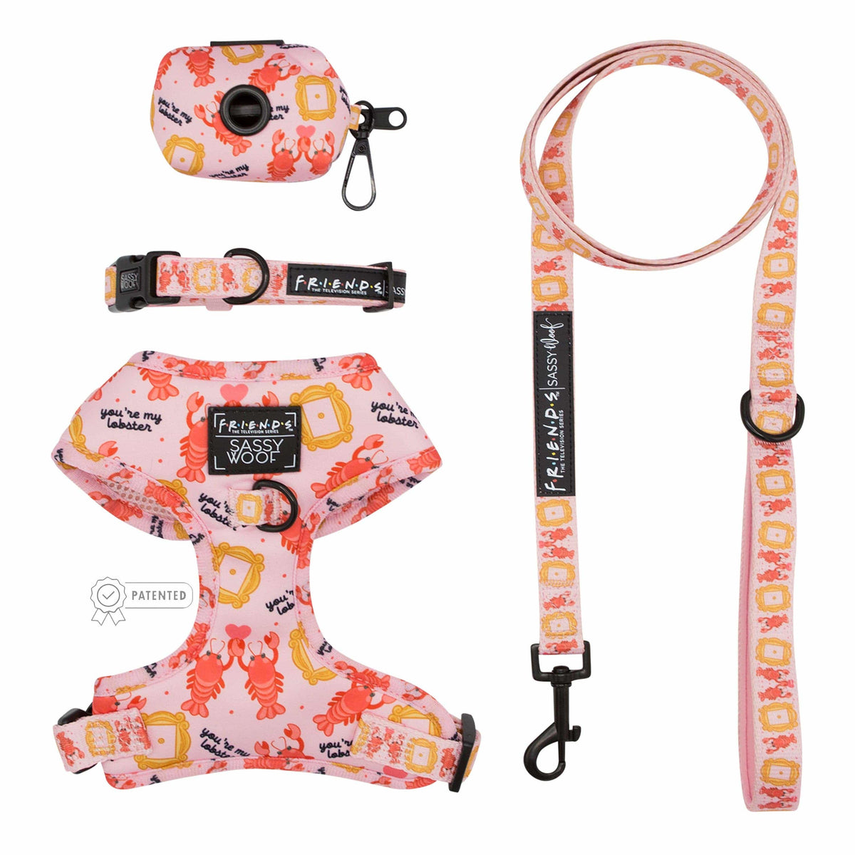 Friends TV Show Pet Harness Bundle Small Friends TV Show Dog