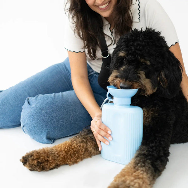 Springer Dog Bowls Springer Growler Dog Water Travel Bottles | Dog Travel | Traveling Dog Bowl