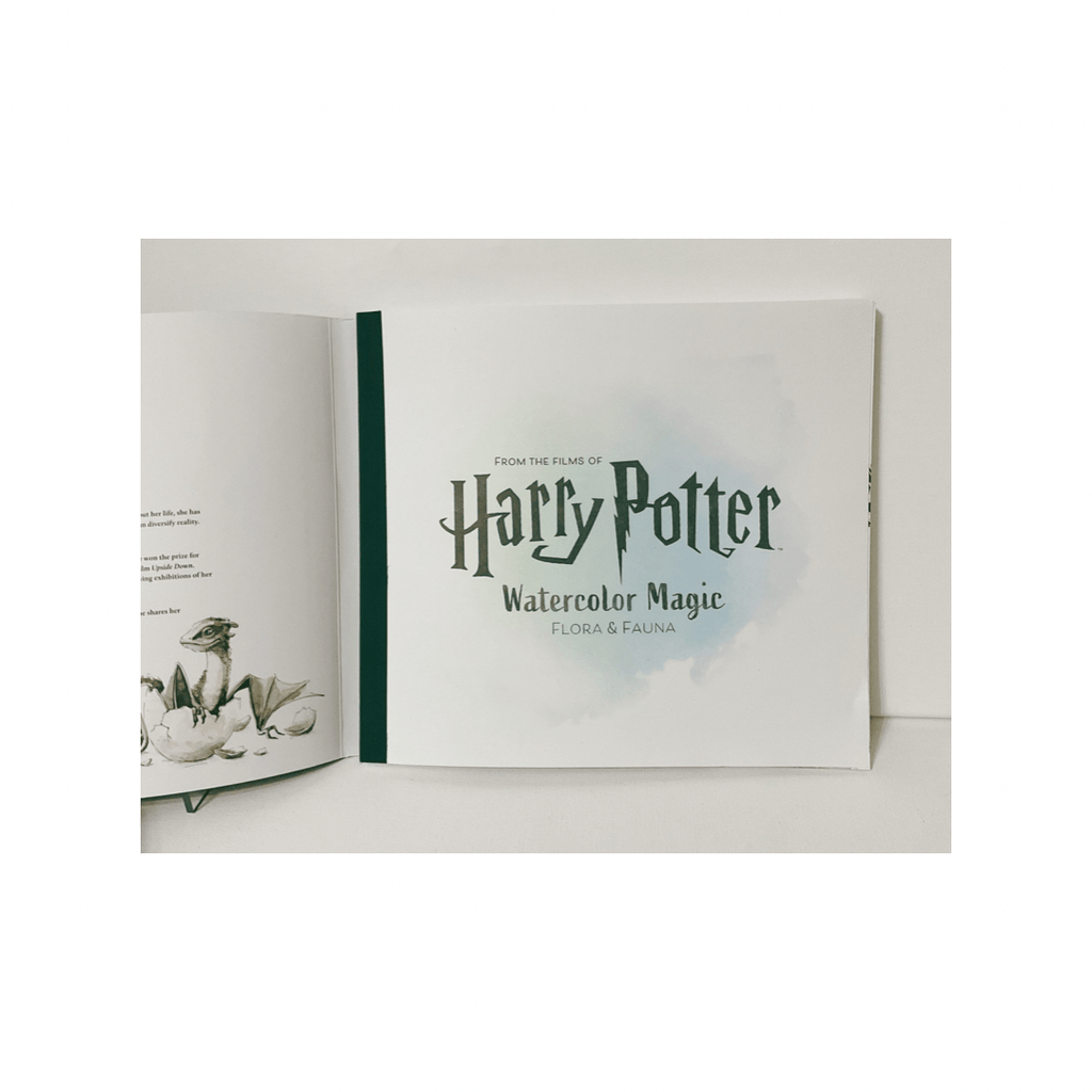 Warner Brothers Painting Book Harry Potter Watercolor Magic Book