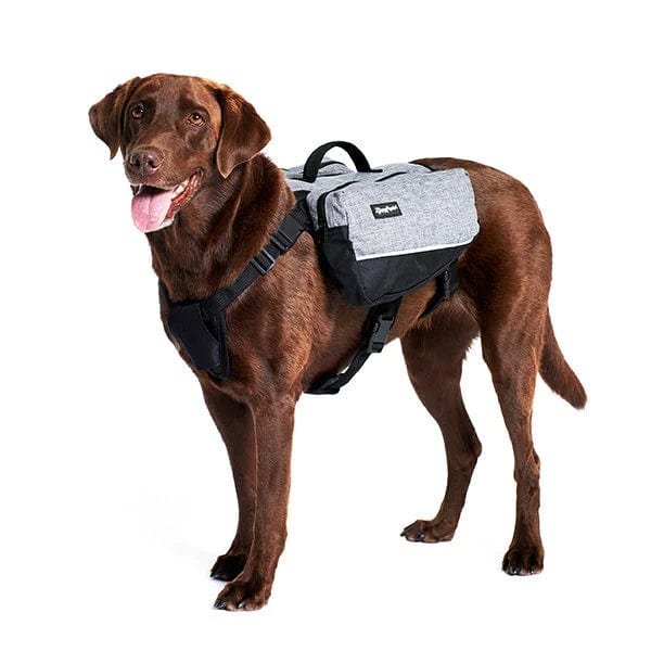 ZippyPaws Dog Backpack ZippyPaws XL Adventure Gear Graphite Backpack for Dogs | Dog Backpack