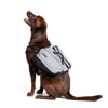 ZippyPaws Dog Backpack ZippyPaws XL Adventure Gear Graphite Backpack for Dogs | Dog Backpack